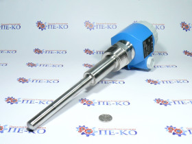 Вібраційний датчик граничного рівня Endress+Hauser Soliphant T FTM20