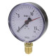111.10 - 9022619 0-16 bar