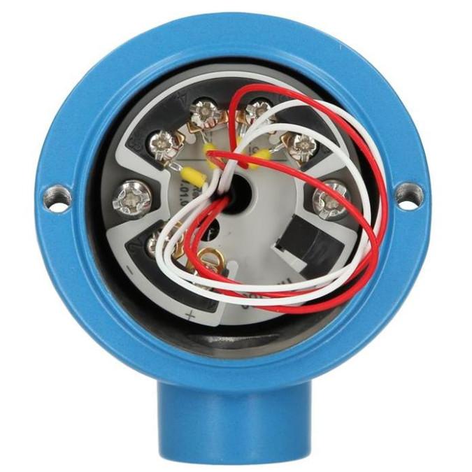 Датчик температури Endress+Hauser TM101-AACCA1GC2A1A1