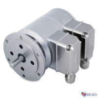 POG11G DN 2500 TTL / DN 2500 TTL