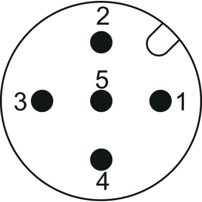 Ультразвуковий датчик Baumer UR12.R50-GP1C.7BF