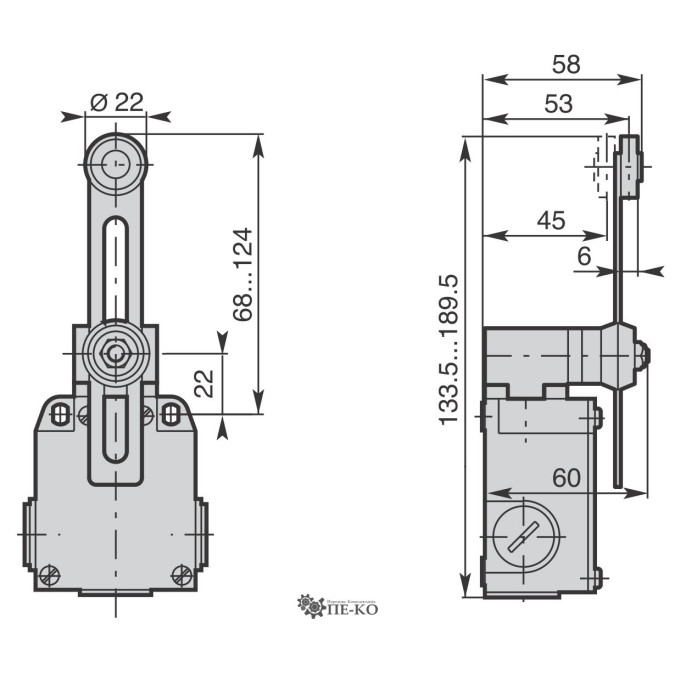 Кінцевий вимикач Comepi BM5E51Z11