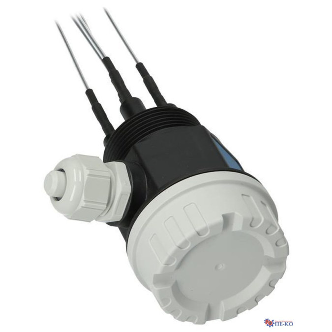Кондуктивний датчик рівня Endress+Hauser FTW32-A1D5CA0A