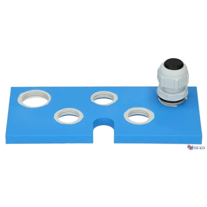 Індикатор процесу Endress+Hauser RID16-AA1A2