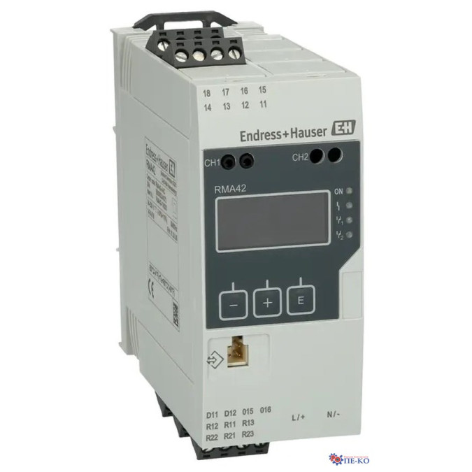 Індикатор процесу Endress+Hauser RMA42-AAC