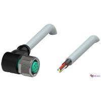 V19-W-30M-PUR-ABG