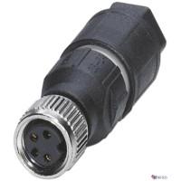 V31-GM-Q4