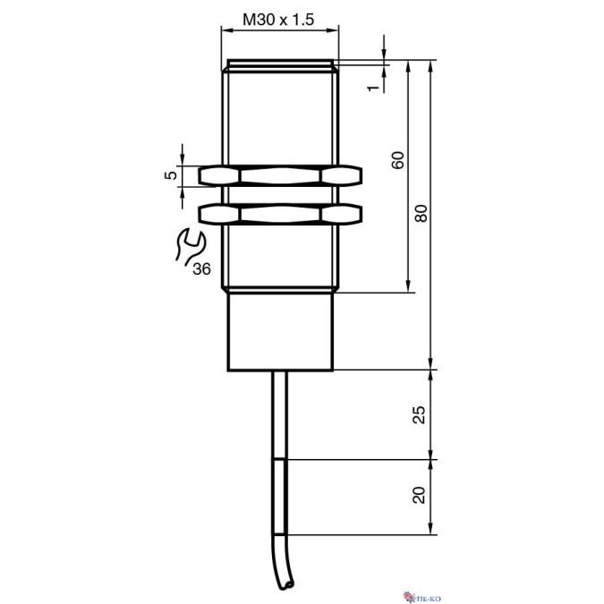 Індуктивний датчик Pepperl+Fuchs NJ10-30GK-E2-Y11312