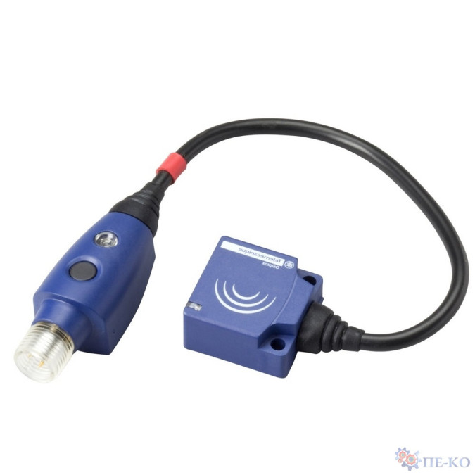 Індуктивний датчик Schneider XS9E11RPBL01M12