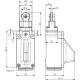 Кінцевий вимикач Steute RF 95 RL LR SW915