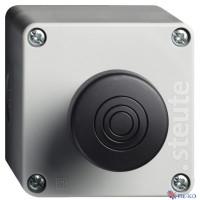 RF BF 72 RS SW SW917