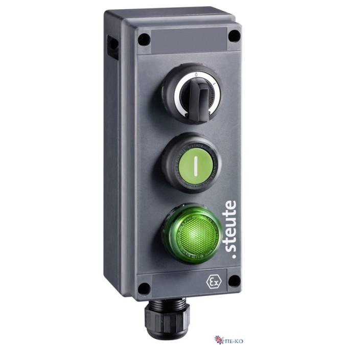 Командний пристрій Steute Ex BF 80 3 WS I-0-II/DT/LM -60°C