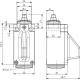Кінцевий вимикач Steute RF 95 W LR SW917