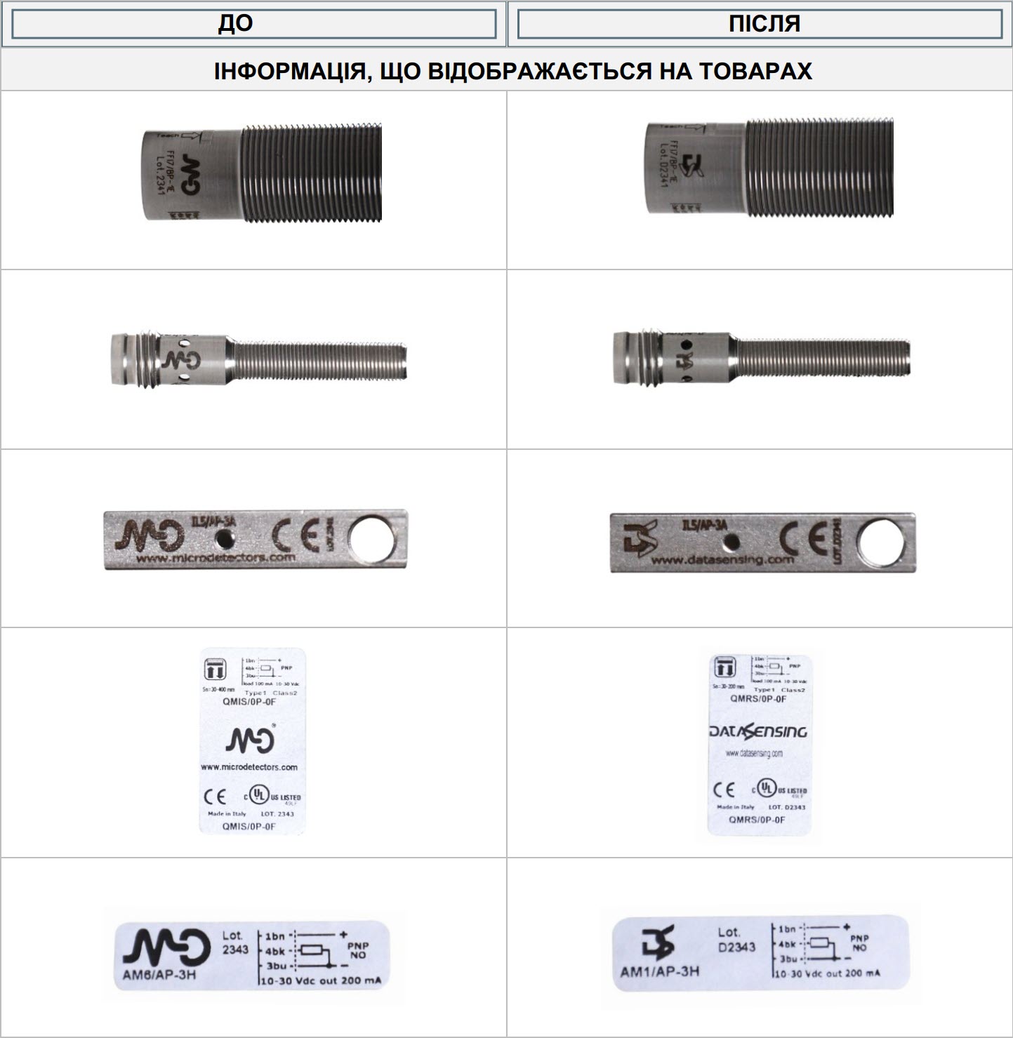 Ребрендинг Micro Detectors в Datasensing
